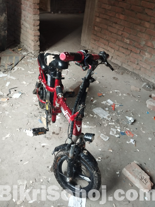 ENGWE ইলেকট্রিক বাইসাইকেল